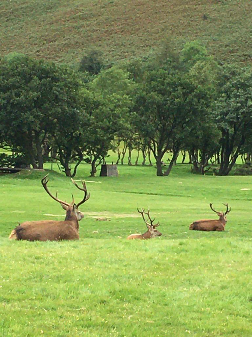 Isle of Arran